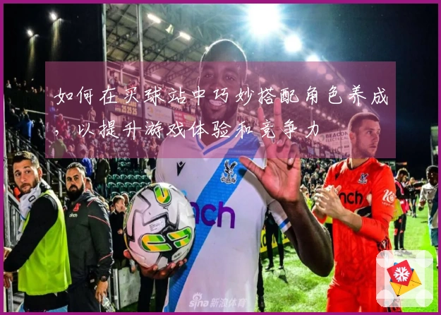 如何在买球站中巧妙搭配角色养成，以提升游戏体验和竞争力