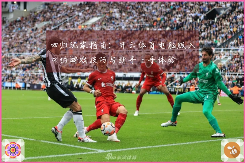 回归玩家指南:开云体育电脑版入口的游戏技巧与新手上手体验